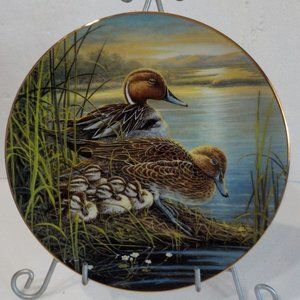 Vtg 1991 "Sleepy Start" A Loving Look Duck 2nd Issue Fine China Plate 23k #2911A